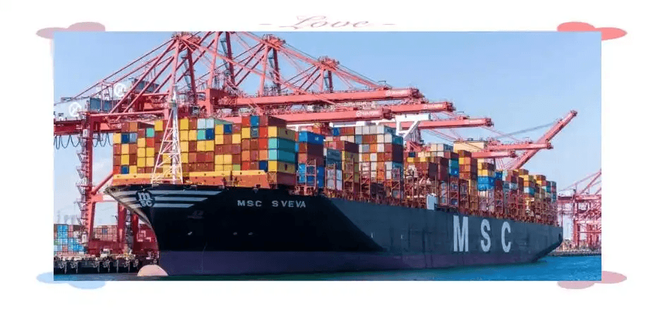 Shenzhen to Long Beach Ocean Freight