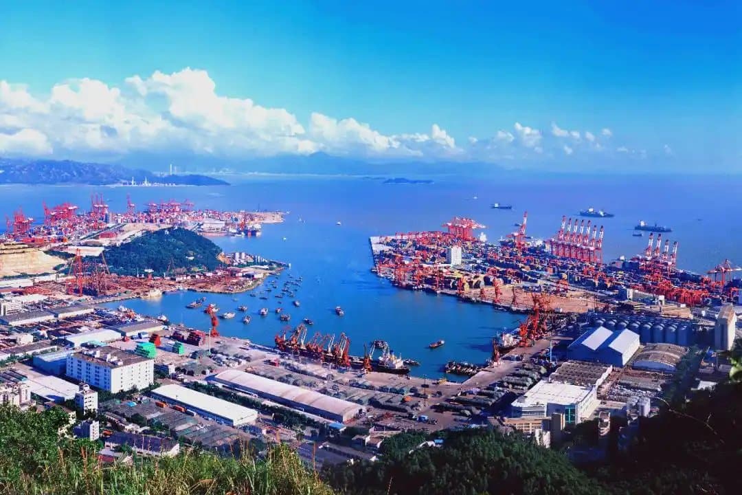 Should I Use a Large Logistics Company or a Freight Forwarder in China?